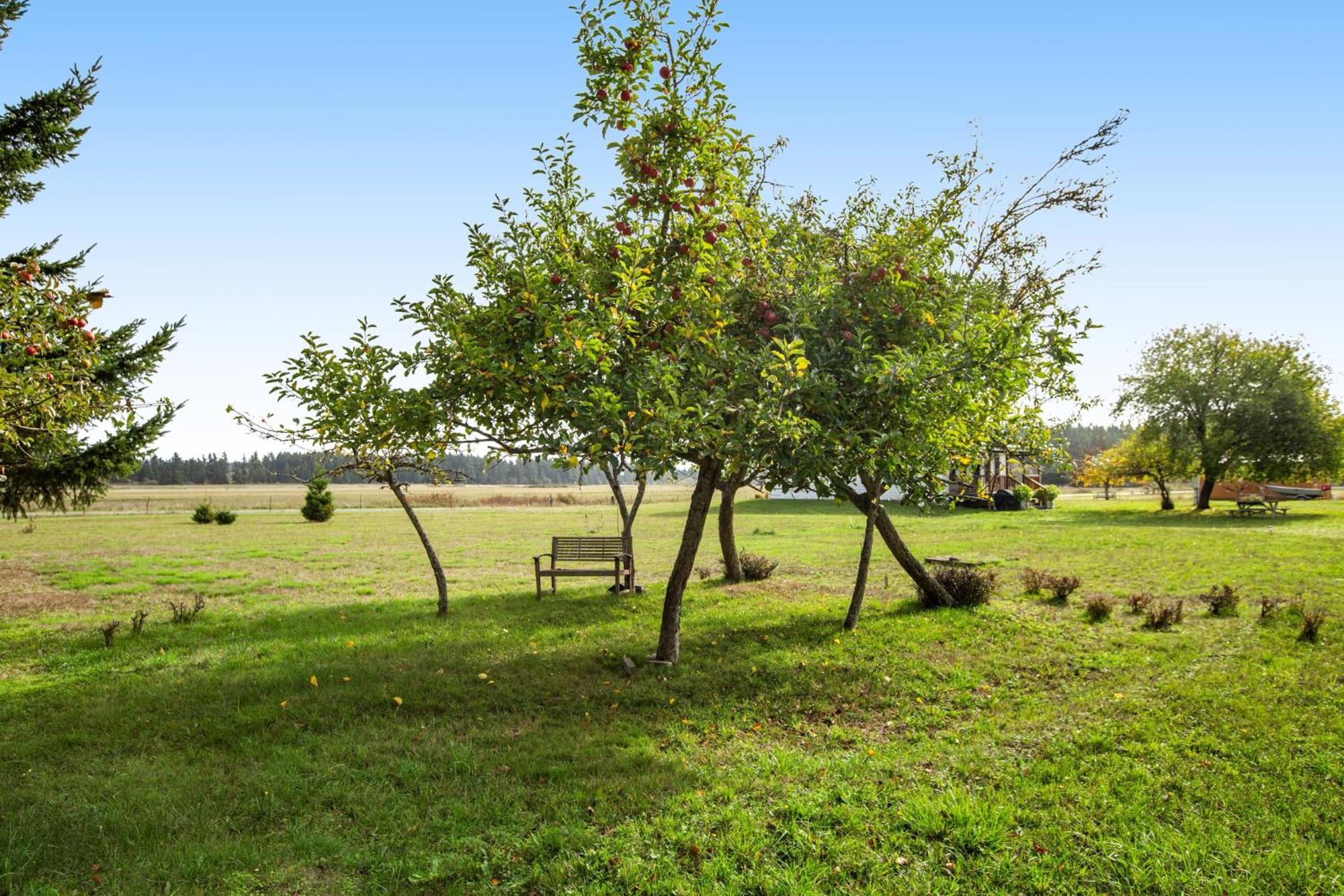Historic Officer'S Farmhouse At Olf Coupeville Luaran gambar