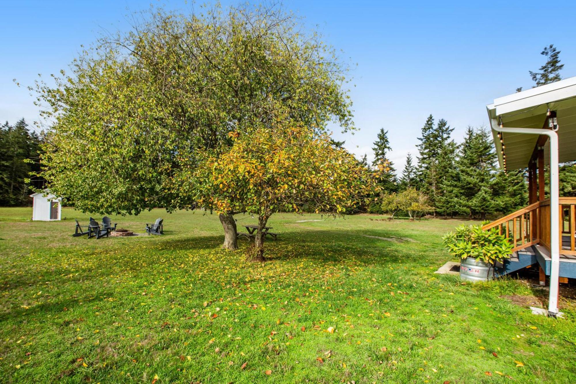 Historic Officer'S Farmhouse At Olf Coupeville Luaran gambar